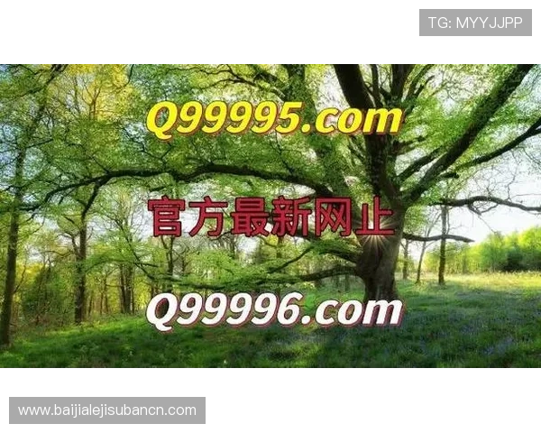 如何顺利登录AG真人厅平台，解决登录难题提升游戏体验的实用指南